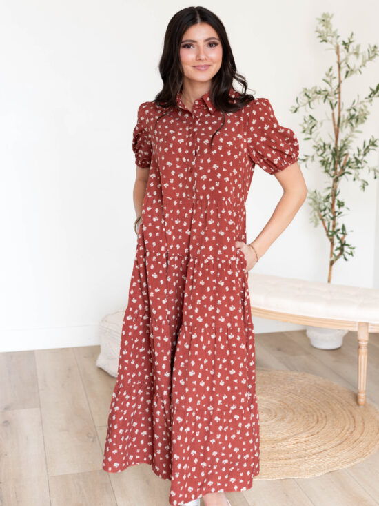 Phoebe Terracotta Collared Dress