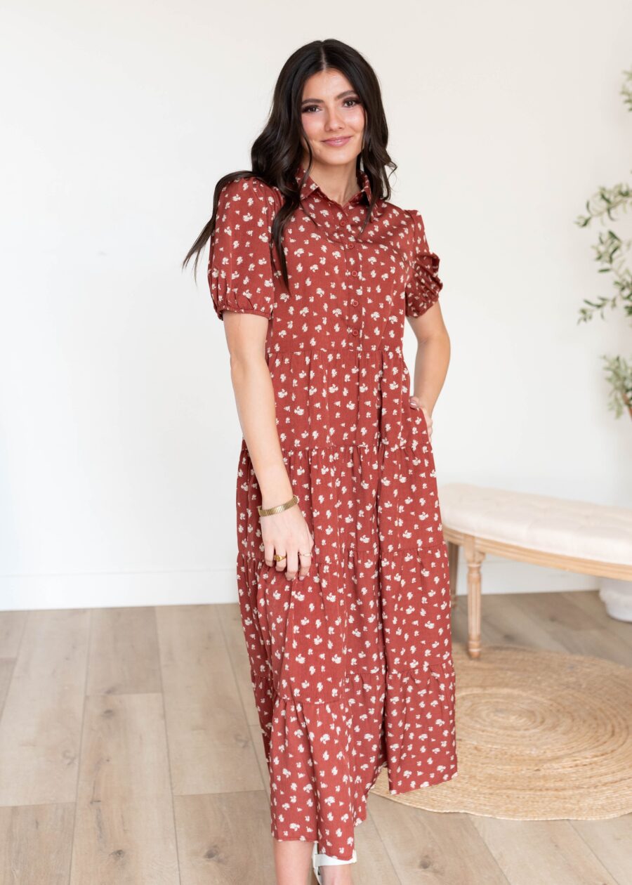 DSC2351.jpg Phoebe Terracotta Collared Dress