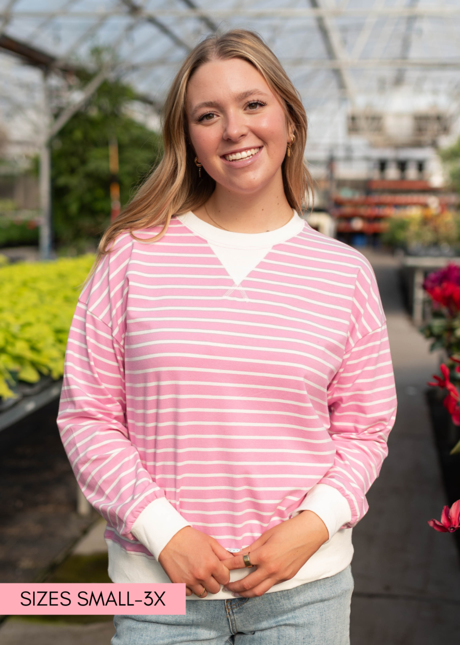 TessaPinkStripedPullover.png Tessa Pink Striped Pullover